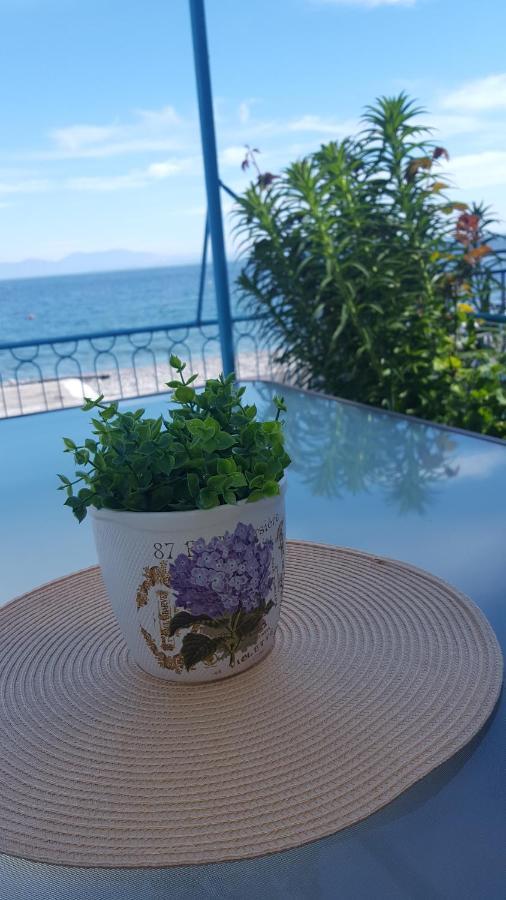 Antony'S Apartment Sea View Tirós Dış mekan fotoğraf
